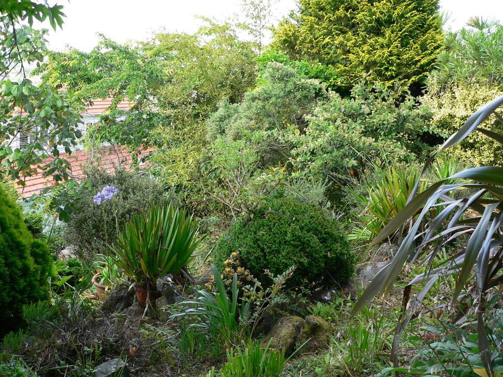 Mount Hobson Apartments Auckland Exterior photo